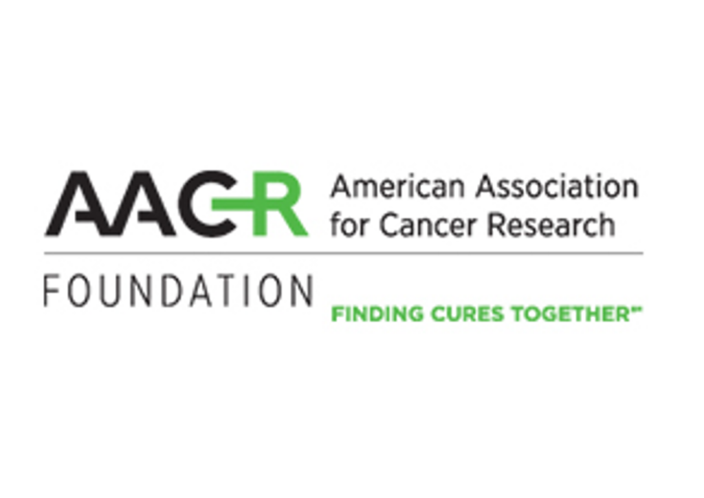 Eunyoung Received A Aacr Debbies Dream Foundation Innovation And Discovery Grant Choi Lab 9529