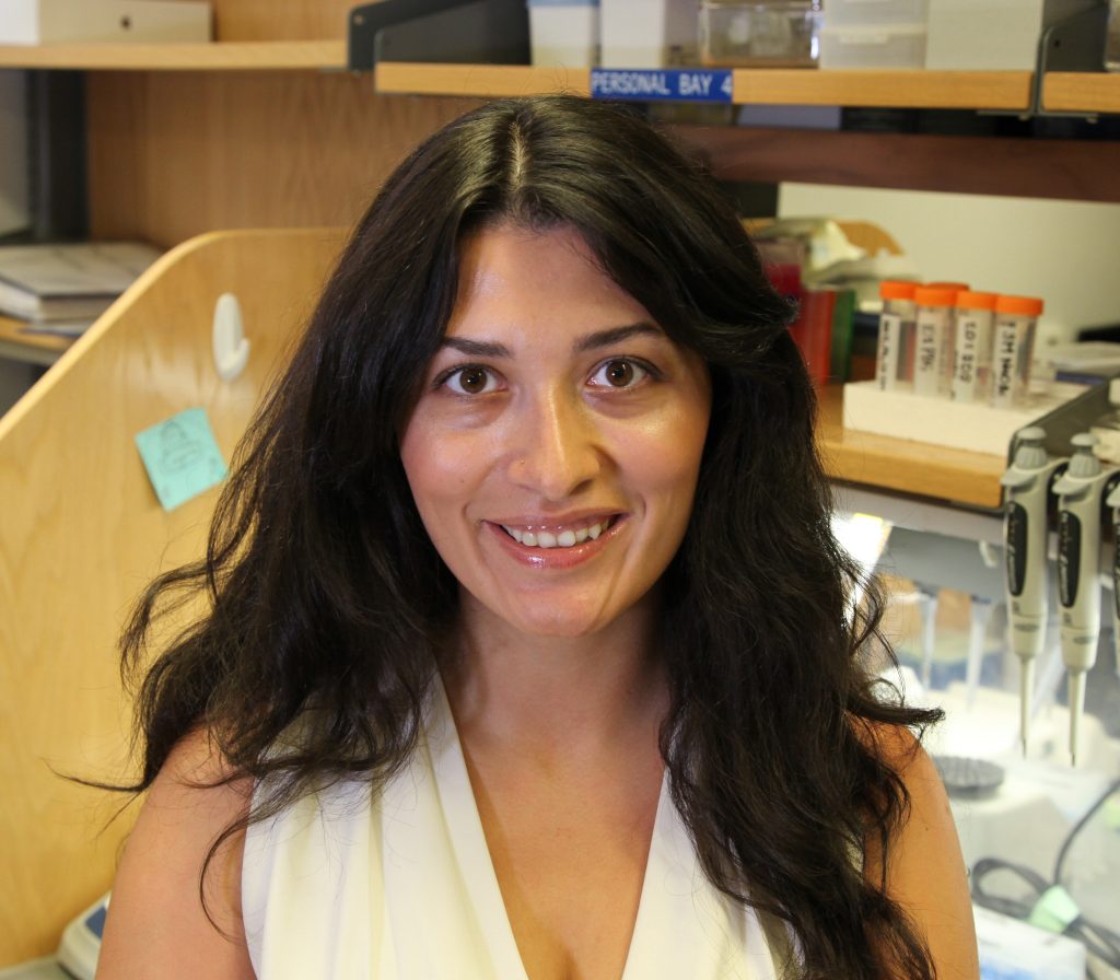 Tamar Kavlashvili Dewar Lab Vanderbilt University