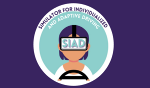 Driving simulation for typical and neurotypical populations