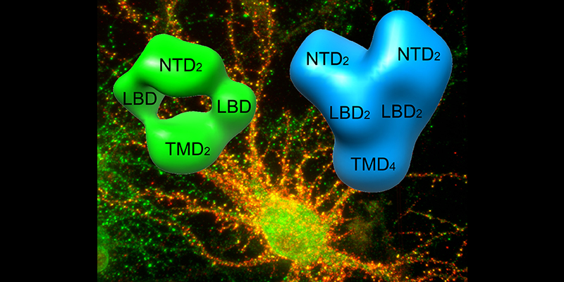 Vanderbilt University