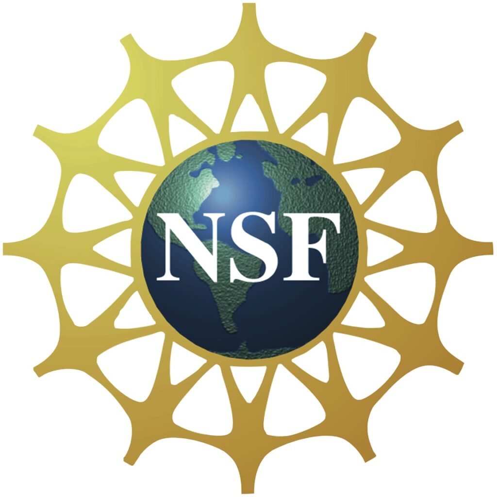 NSF CAREER Award to study Lifesaving Capsule Robots STORM Lab