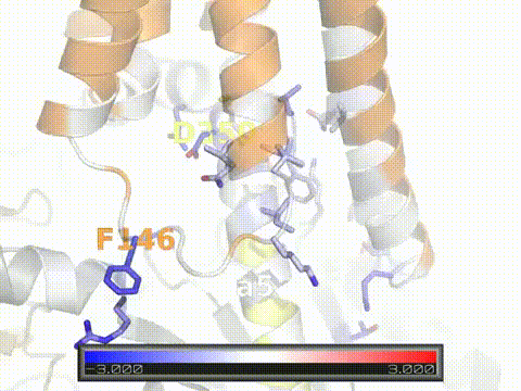 Energetic-analysis-of-Rhodopsin-and-Gi-alpha-subunit-interfa (1).gif